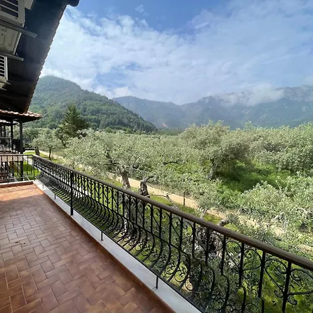 Ariadni 3* Skala Potamia (Thasos)